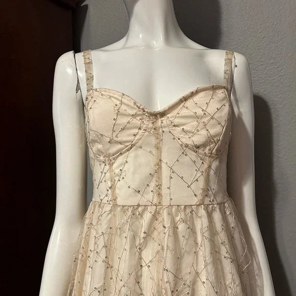 Champagne Sheer Sequin Midi Dress